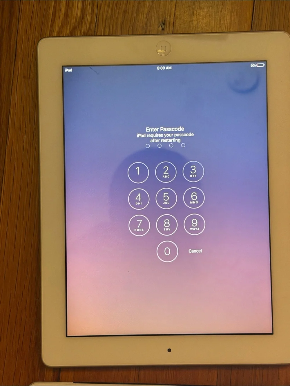 Apple iPad Tablet - Black and White - Activation Locked